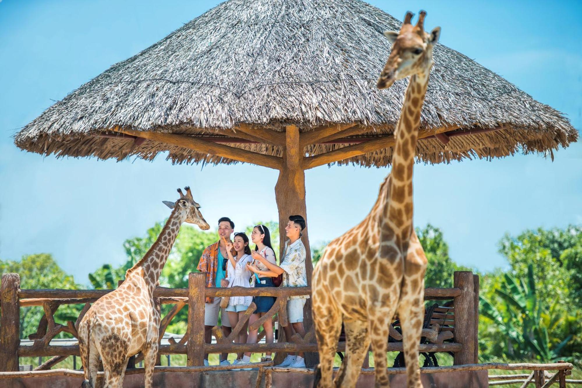 Vinpearl Resort & Golf Nam Hoi An Ha Binh Eksteriør bilde